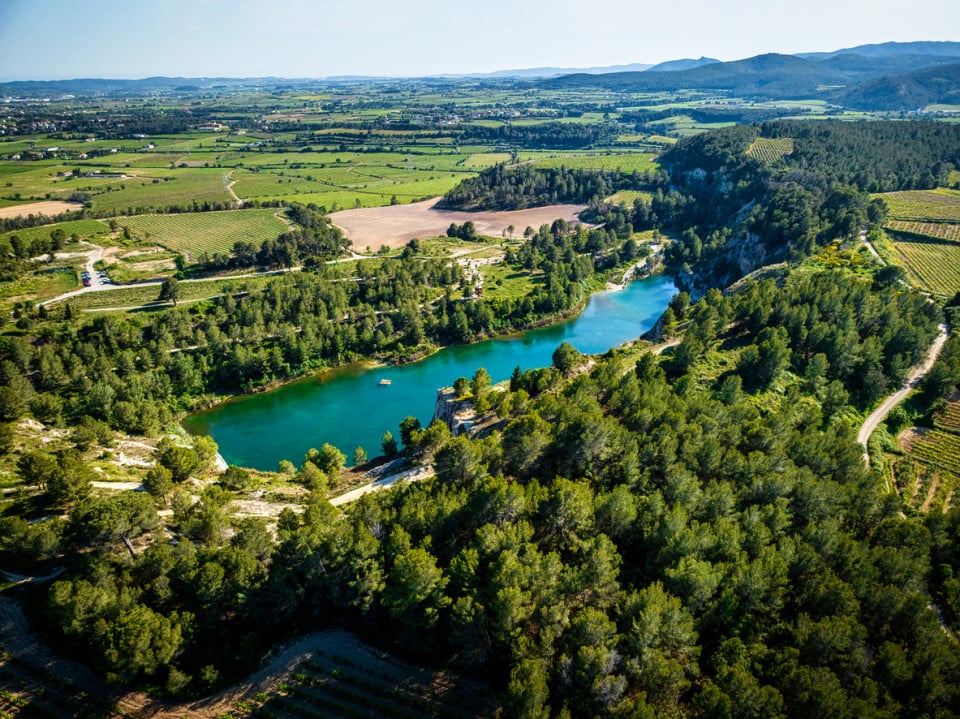 Lago, arboles, viñedos
